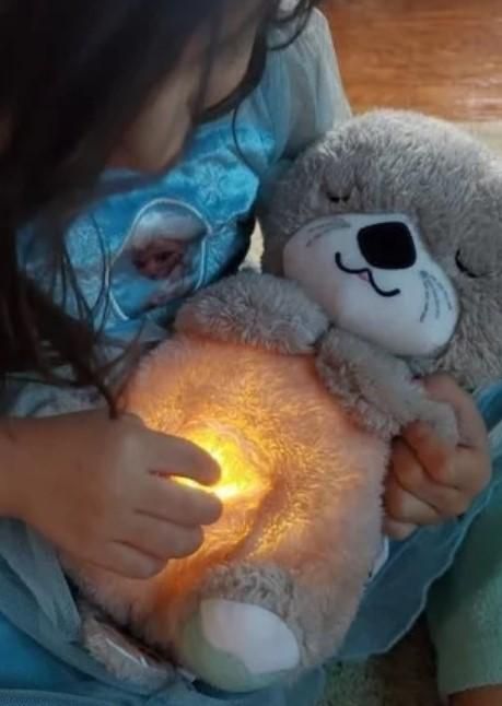 Teddy Bear
